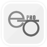 NS EasyStore Professional